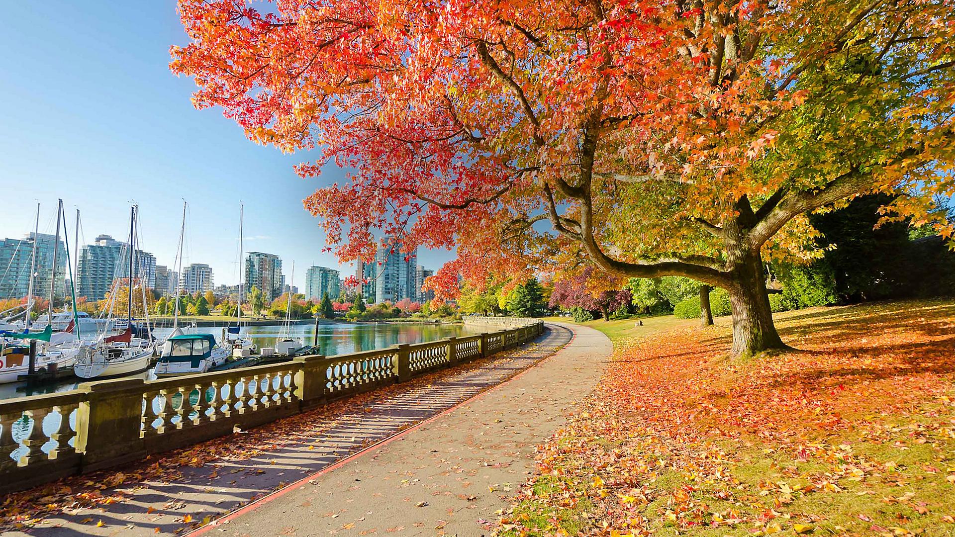 Alaska y Glaciares - Ovation of the Seas 3